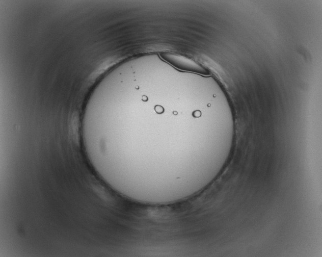 X0000116820345200912312020