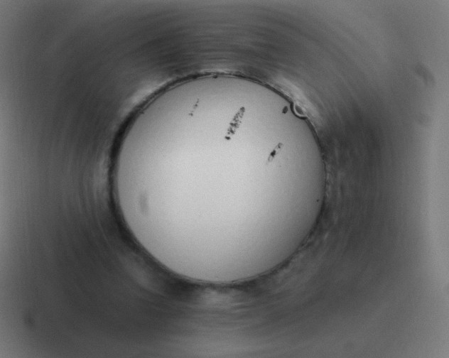 X0000116820346200912312020