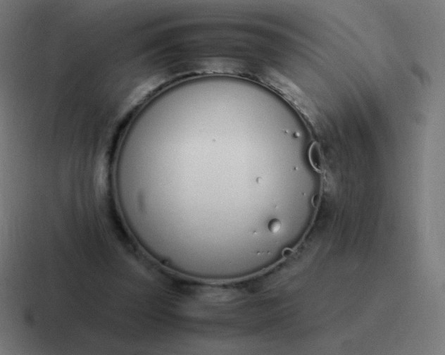 X0000116820347200912312020