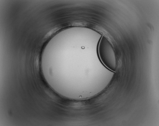 X0000116820349200912312020