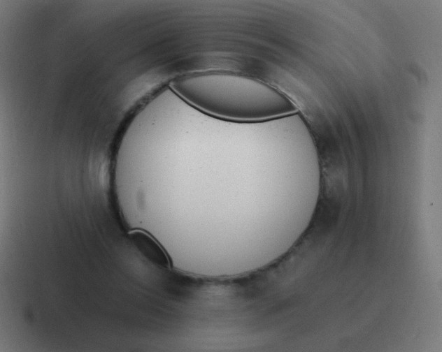 X0000116820350200912312020