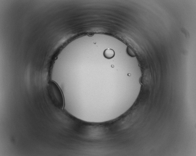 X0000116820351200912312020