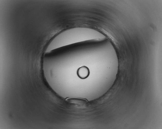 X0000116820353200912312020