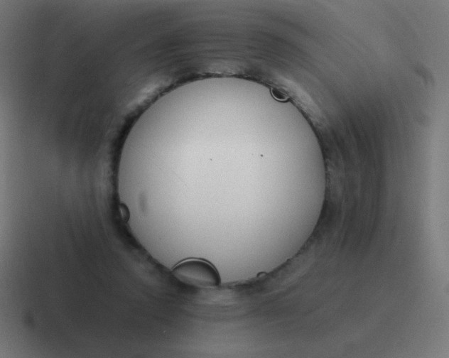 X0000116820354200912312020