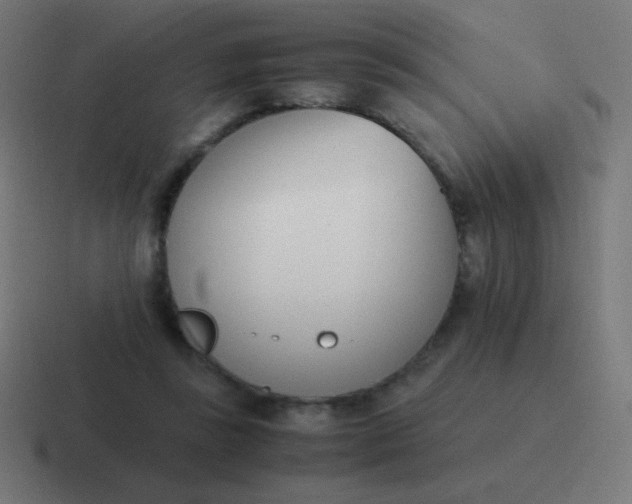 X0000116820355200912312020