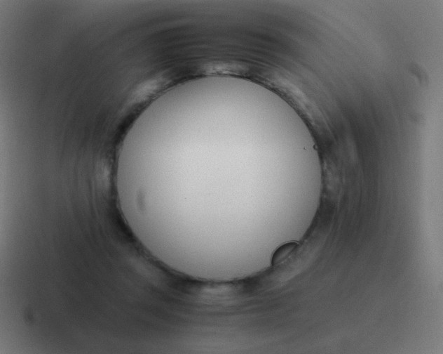 X0000116820357200912312020