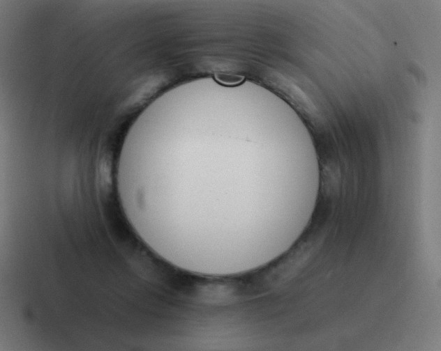 X0000116820358200912312020