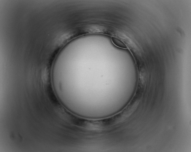 X0000116820359200912312020