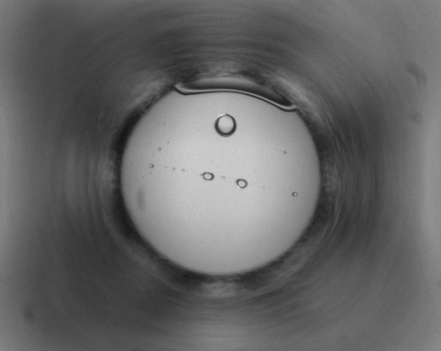 X0000116820362200912312020