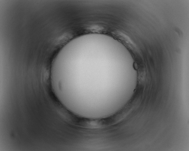 X0000116820365200912312020