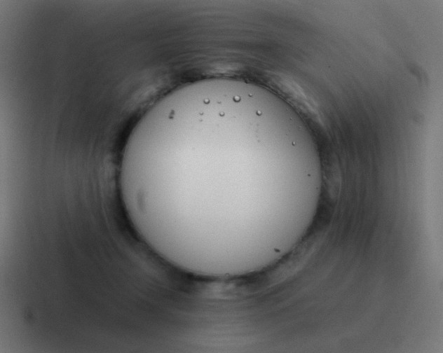 X0000116820366200912312020