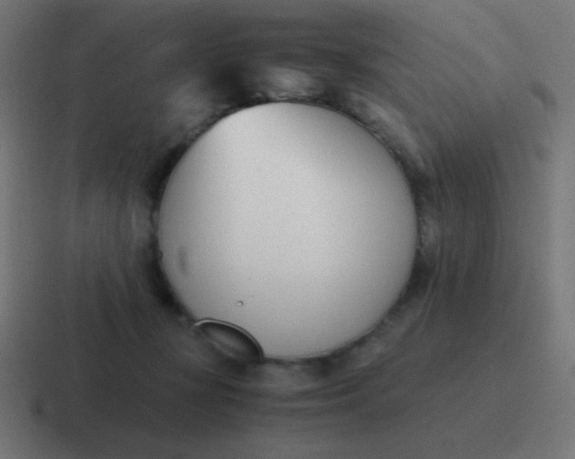 X0000116820367200912312020