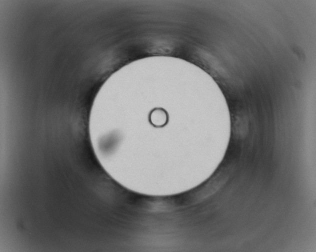 X0000116820370200912312020