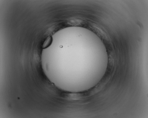 X0000116820371200912312020