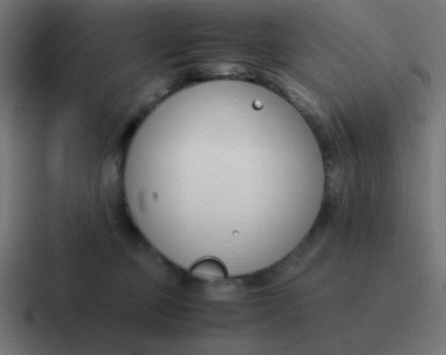 X0000116820373200912312020