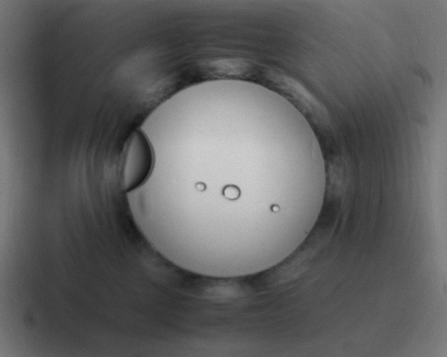 X0000116820377200912312020