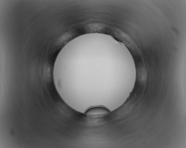 X0000116820378200912312020