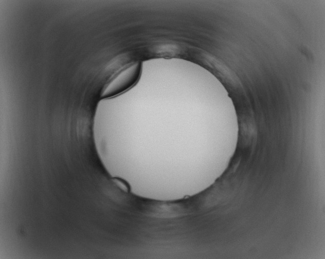 X0000116820379200912312020