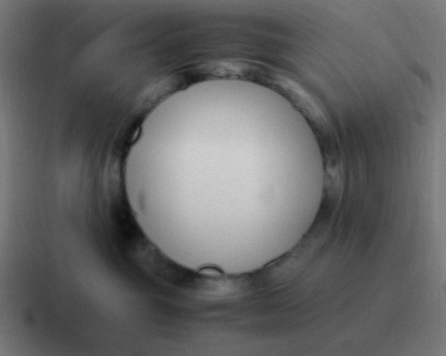 X0000116820381200912312020