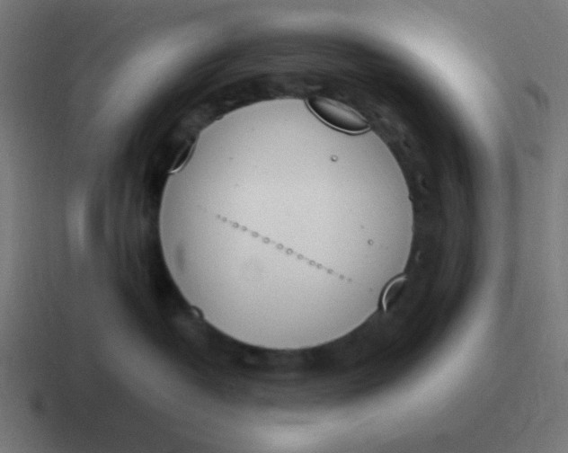 X0000116820382200912312020