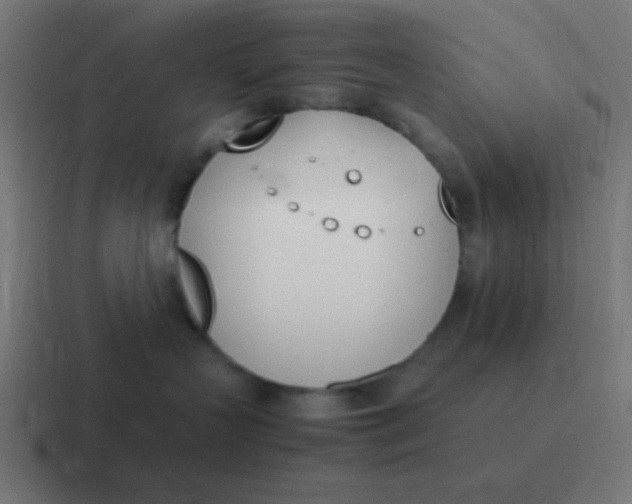 X0000116820383200912312020