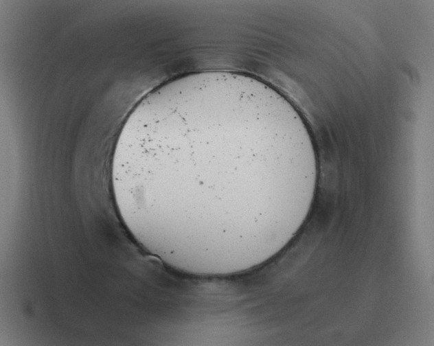 X0000116820385200912312020