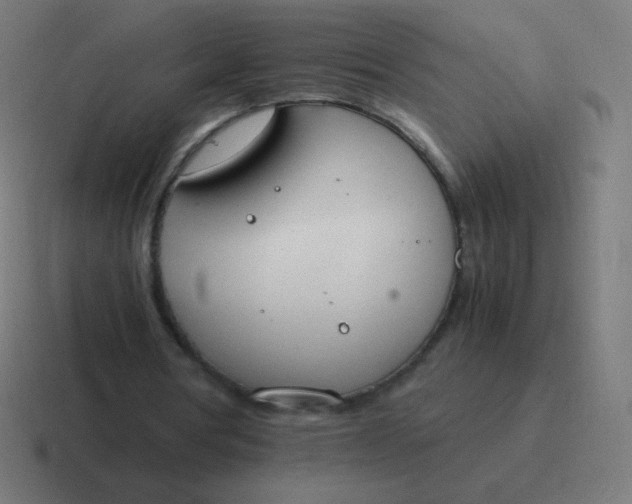 X0000116820386200912312020