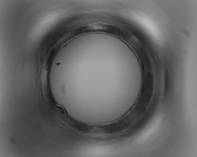 X0000116820387200912312020