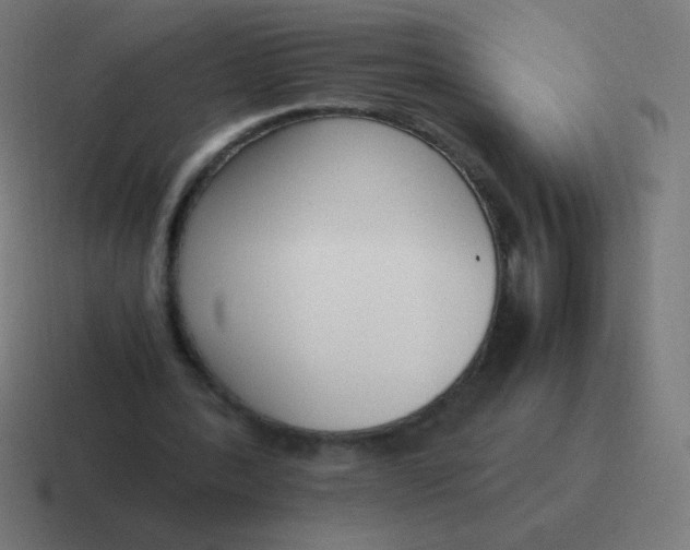 X0000116820388200912312020