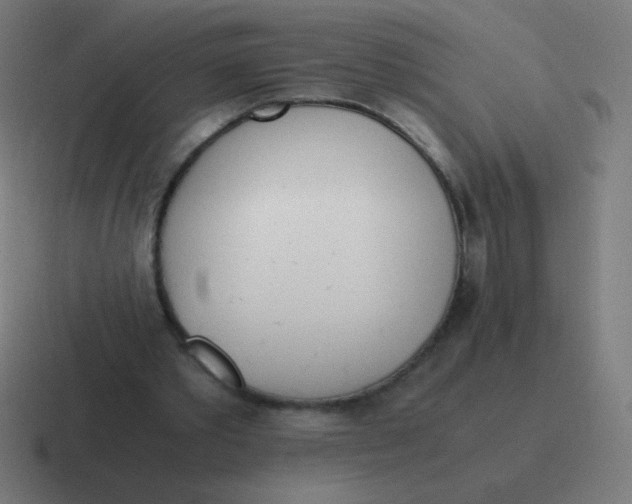 X0000116820389200912312020