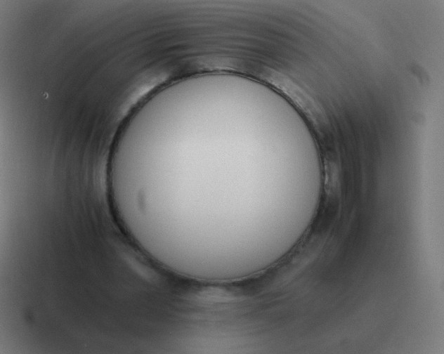 X0000116820390200912312020