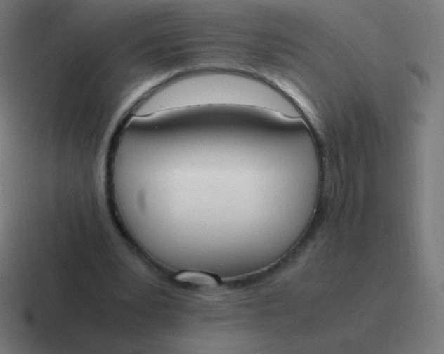 X0000116820391200912312020