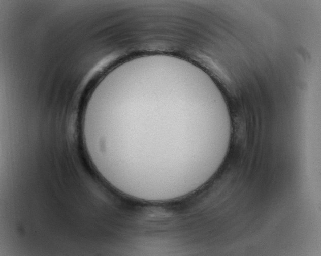 X0000116820392200912312020