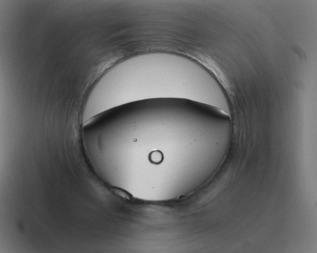 X0000116820393200912312020