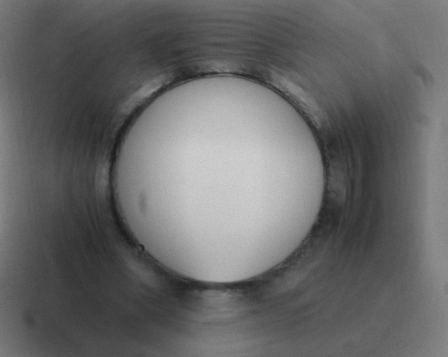 X0000116820394200912312019