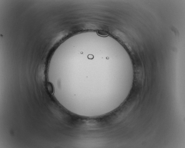 X0000116820395200912312019