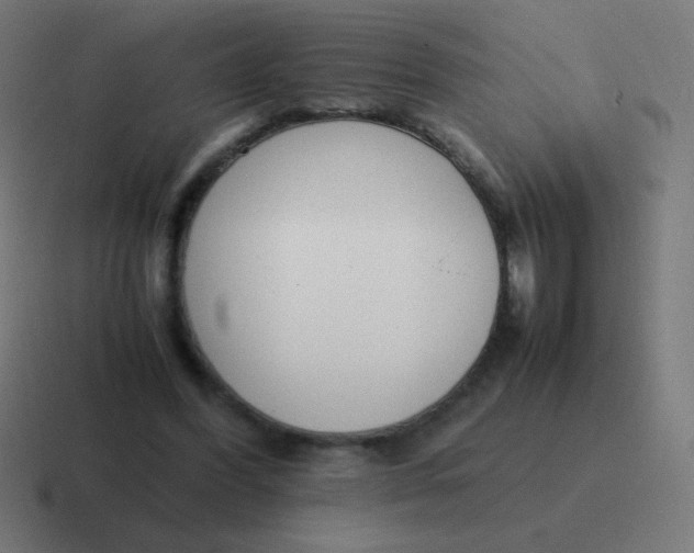 X0000116820396200912312019