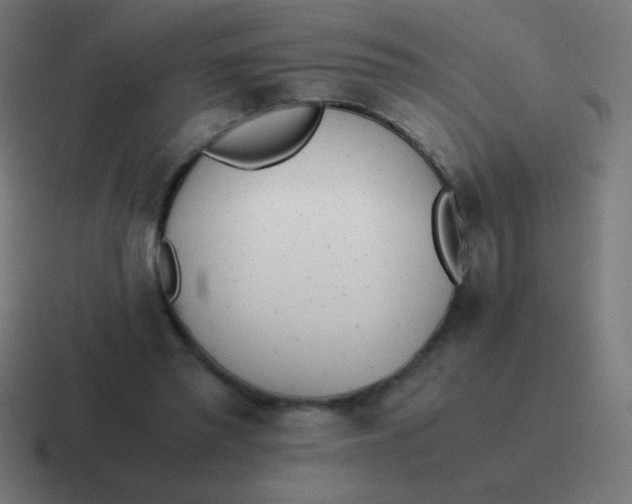 X0000116820397200912312019