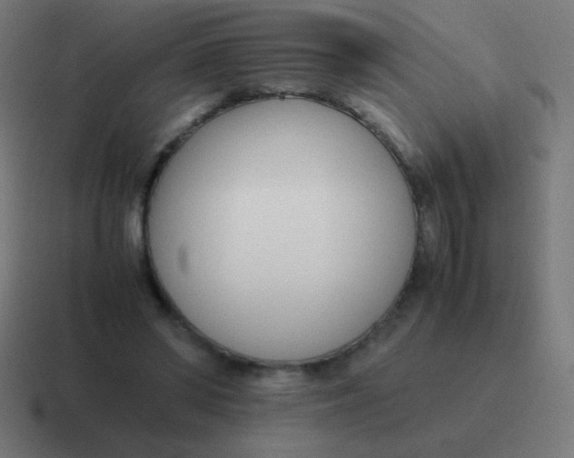 X0000116820398200912312019