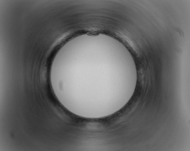 X0000116820400200912312019