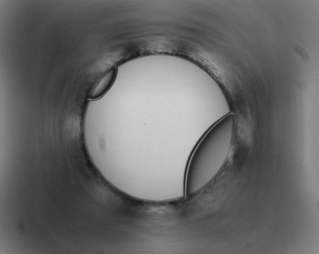 X0000116820401200912312019