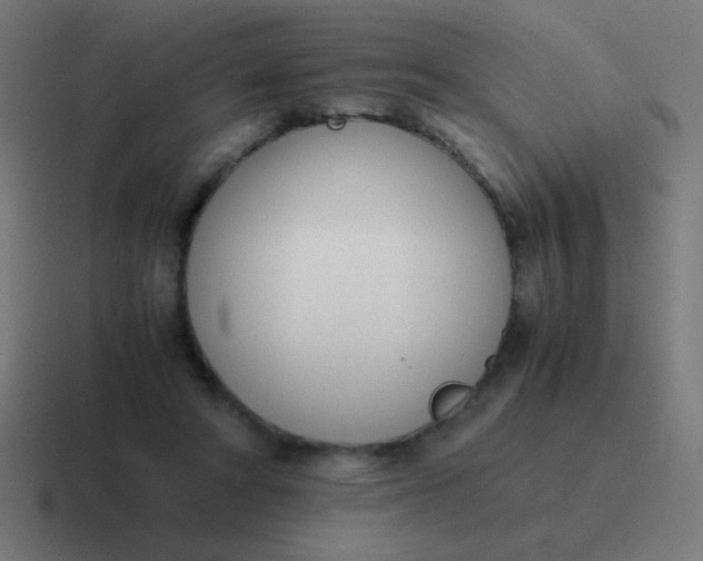 X0000116820402200912312019