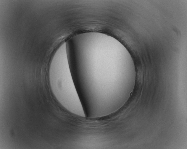 X0000116820403200912312019