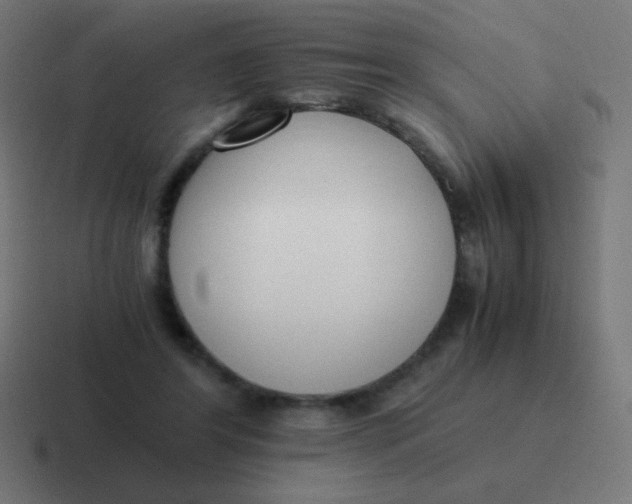 X0000116820404200912312019