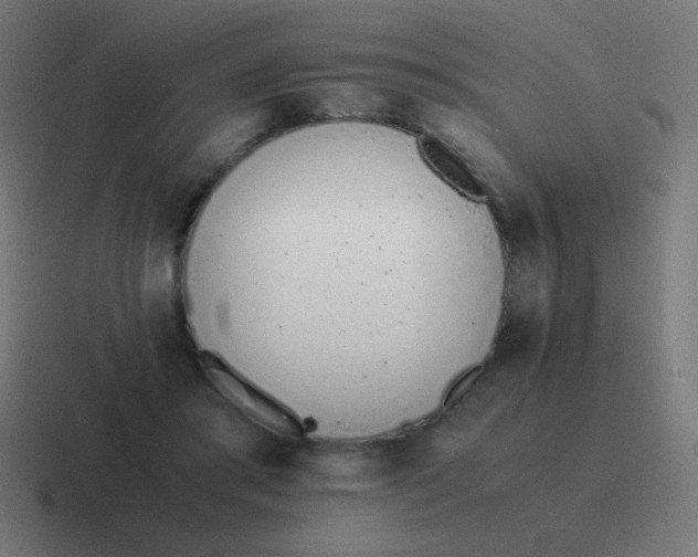 X0000116820405200912312019