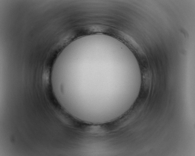 X0000116820406200912312019