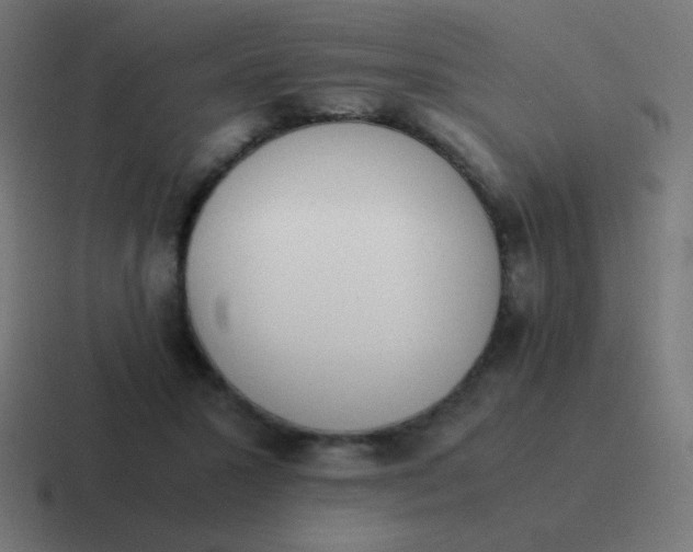 X0000116820407200912312019