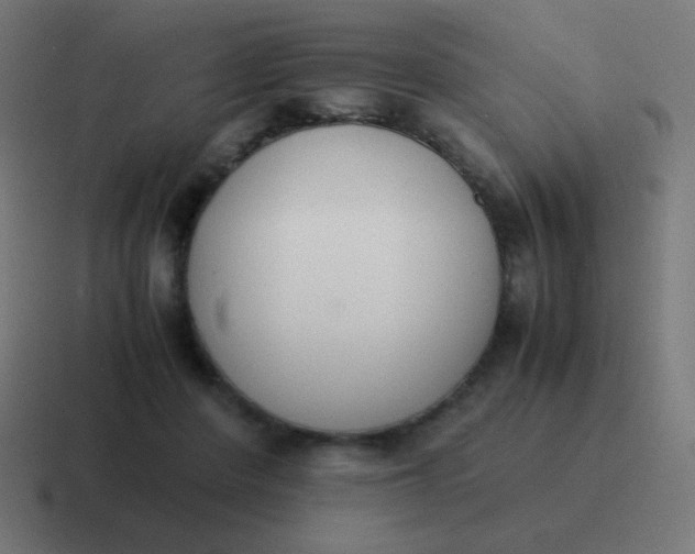 X0000116820408200912312019