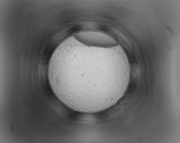 X0000116820409200912312019