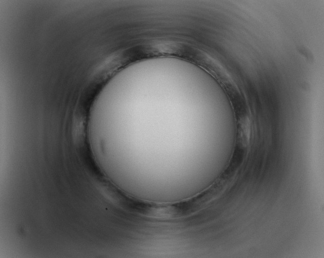 X0000116820410200912312019